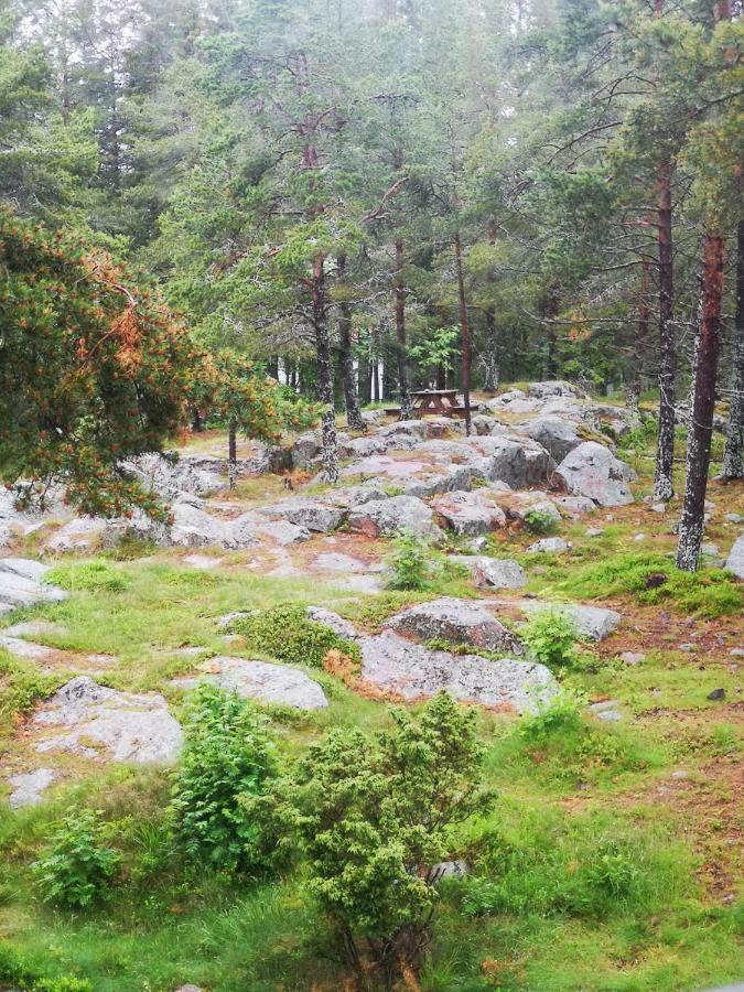 Trysunda Vandrarhem & Skaergardscafe Exteriér fotografie