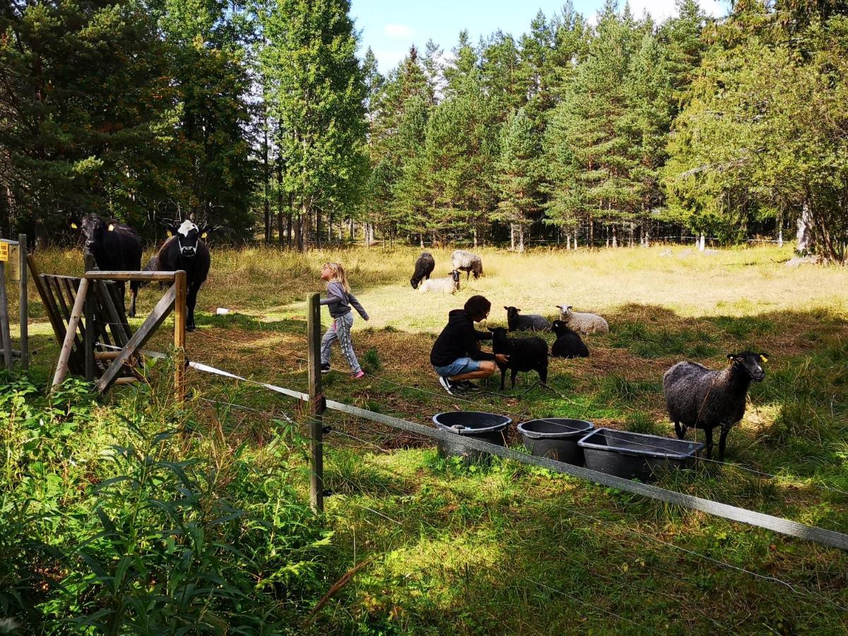 Trysunda Vandrarhem & Skaergardscafe Exteriér fotografie